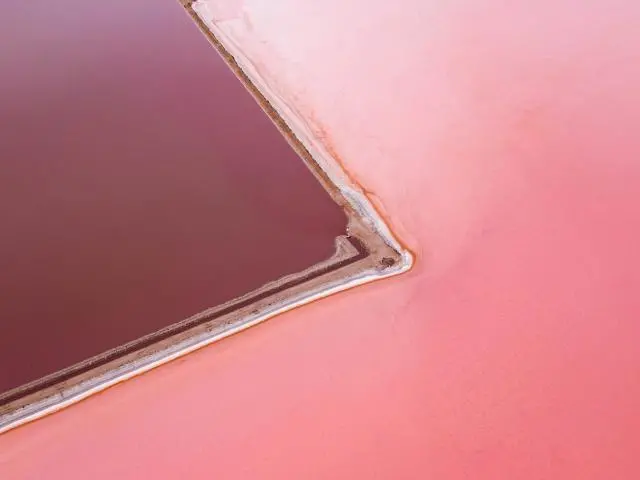 赫特泻湖粉红湖 (Hutt Lagoon Pink Lake)