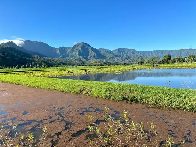 可爱岛 (Kauai, HI)
