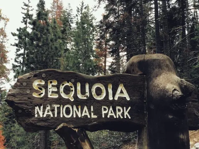 神木国家公园 (Sequoia National Park, CA)