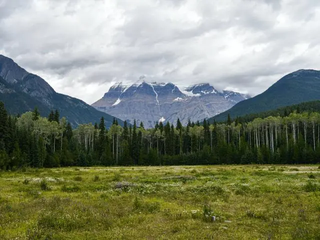 罗布森山省公园 (Mount Robson Provincial Park)