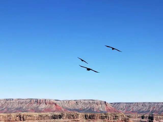 老鹰岩 (Eagle Point)