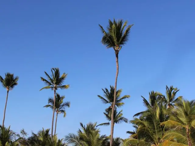Punta Cana, Dominican Republic