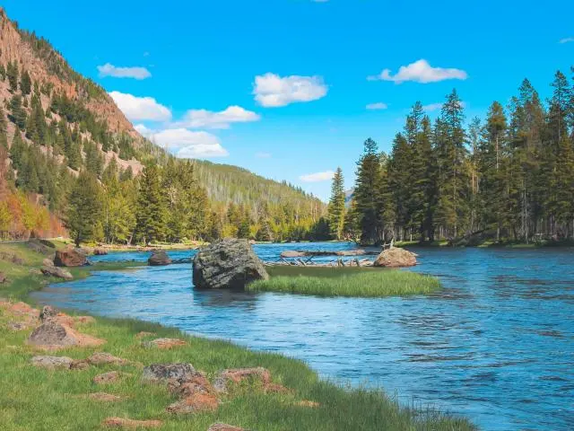 麦迪森河谷 (Madison River Valley)