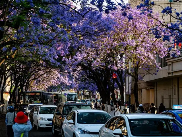 Kunming, CN