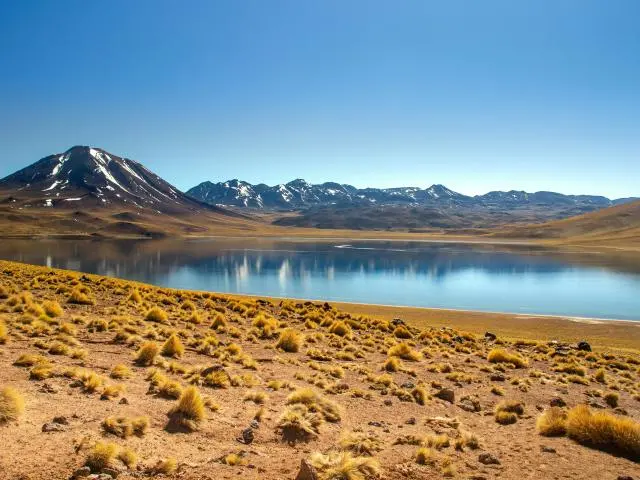 米斯坎蒂和米尼克斯湖 (Laguna Miscanti and Miñiques)
