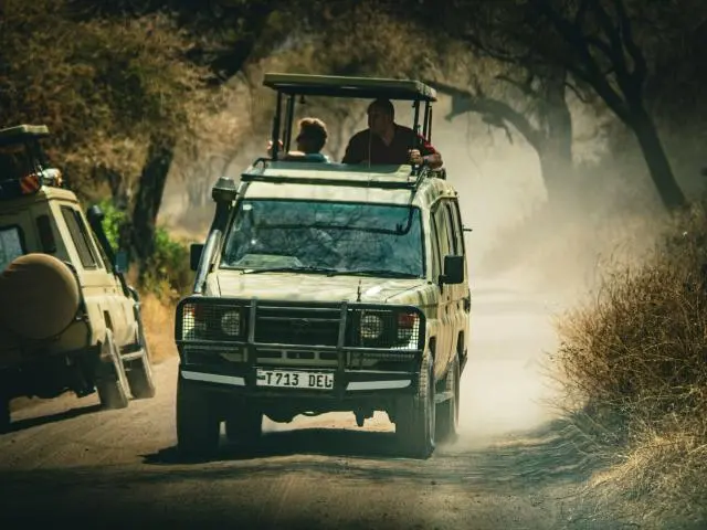 Lake Manyara National Park, TANZANIA
