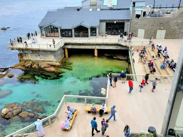 蒙特利湾水族馆 (Monterey Bay Aquarium)