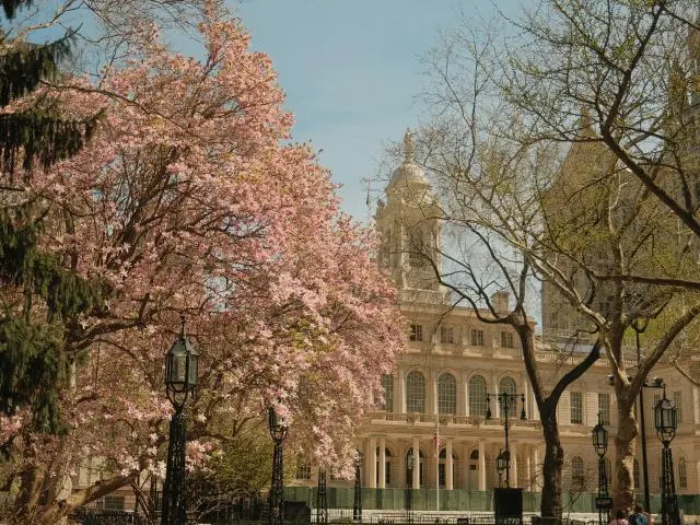 纽约市政厅 (New York City Hall)