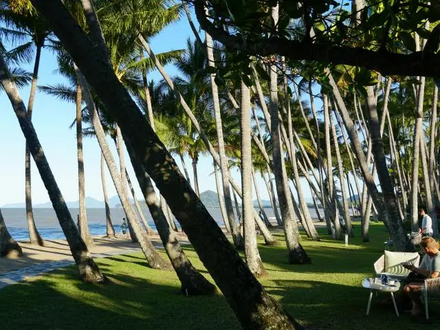 棕榈湾海滩 (Palm Cove Beach)
