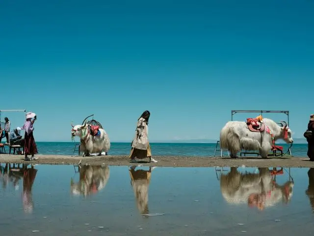 青海湖 (Qinghai Lake, CN)