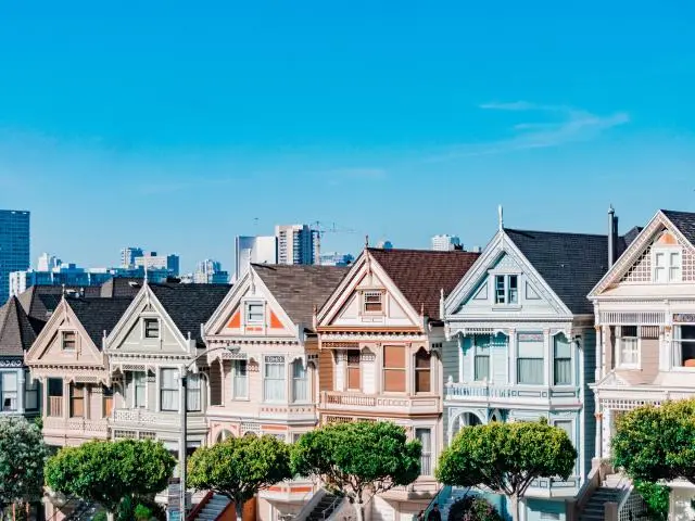 Painted Ladies