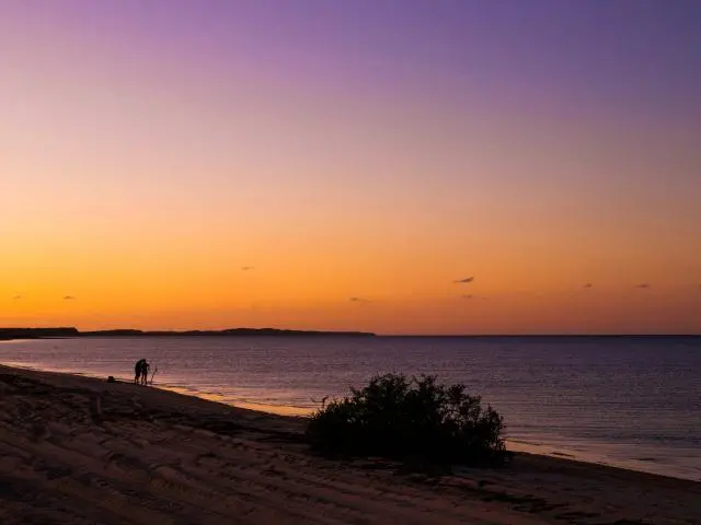 Shark Bay, AU