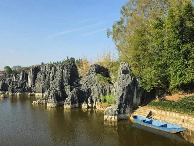 Stone Forest