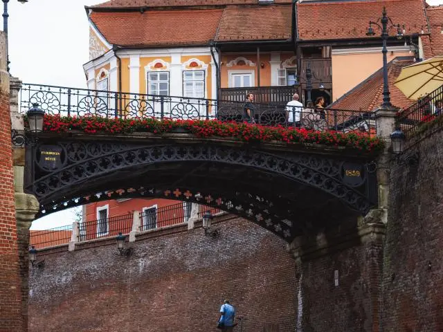 谎言桥 (Bridge of Lies)