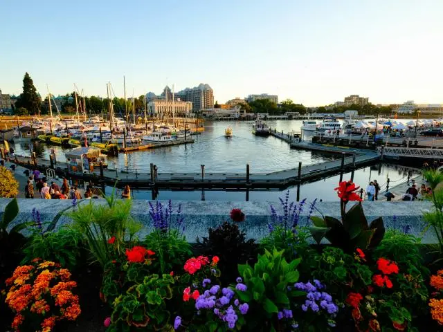 维多利亚内海湾 (Victoria Harbour) 维多利亚内海湾 (Victoria Harbour)