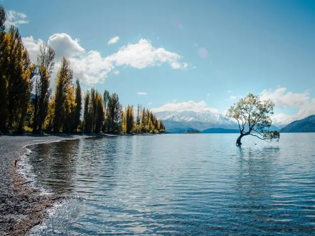 瓦纳卡 (Wanaka, NZD)