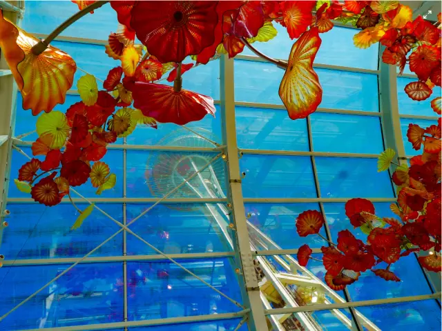 奇胡利玻璃园 (Chihuly Garden and Glass)