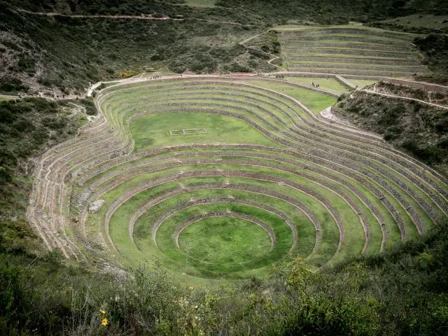 Moray Moray