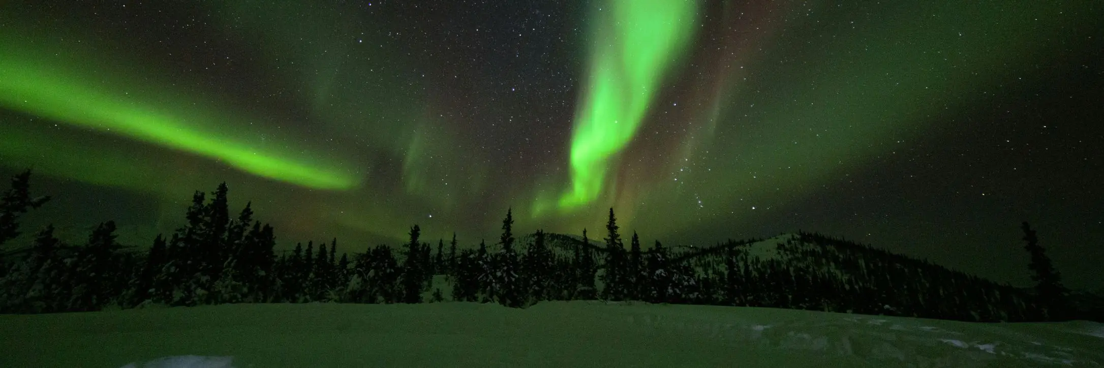 Chase the Northern Lights: Alaska, Yellowknife & Lapland, all handled for you