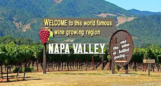 Sightseeing in Napa Valley