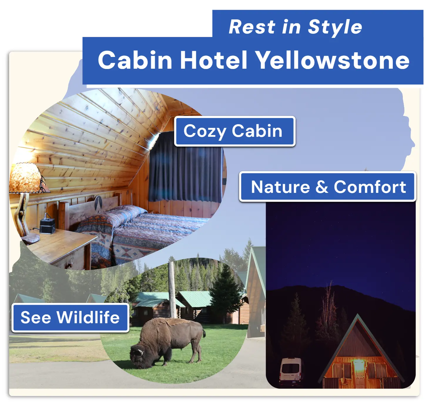 Yellowstone Tour Features